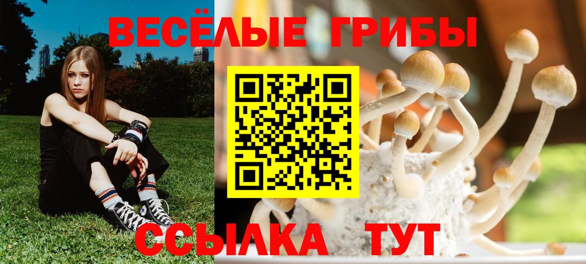 Псилоцибиновые грибы GOLDEN TEACHER Гусиноозёрск