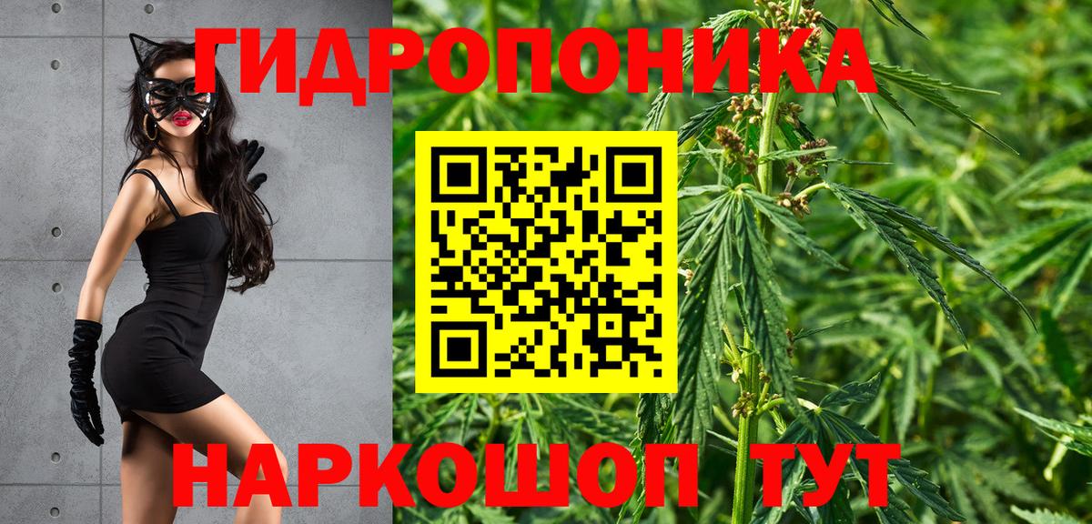 МАРИХУАНА сатива  Конопля индика  Гусиноозёрск  Шишки марихуана планчик  Вход с VPN 